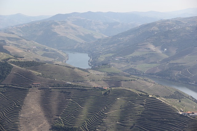 douro