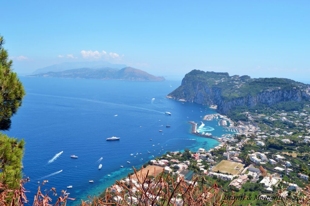 10 Vie del Vino: itinerari Enologici imperdibili in Italia penisola sorrentina vigneti