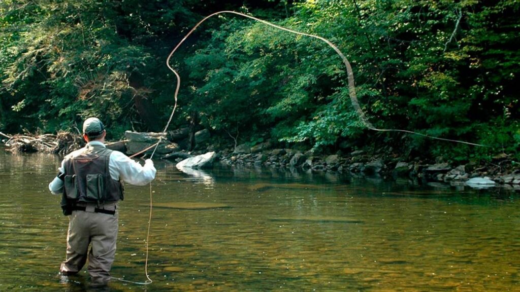 Viaggi di Formazione: destinazioni per apprendere e crescere per questa primavera pesca con mosca x