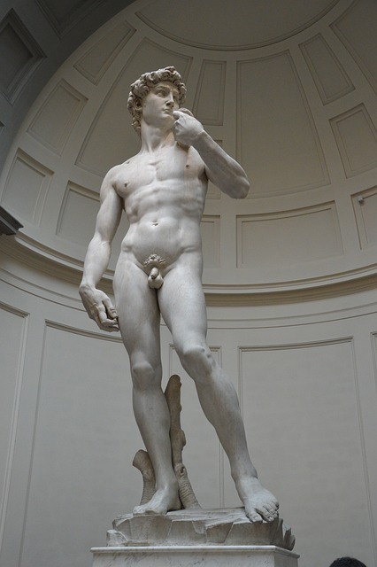 statua di davide galleria Accademia