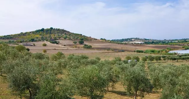 10 Vie del Vino: itinerari Enologici imperdibili in Italia val di noto campagna