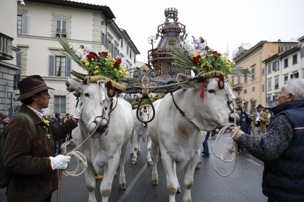 carro della colombina trainato da due buoi