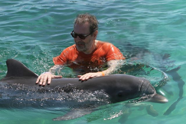 Vacanze avventura - La top 10 delle attività adrenaliniche più popolari in Europa nuotare coi i delfini portogallo