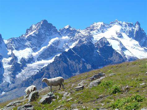 Vacanze avventura - La top 10 delle attività adrenaliniche più popolari in Europa sci sulle ali francesi