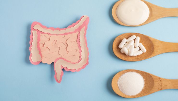 Fermenti lattici: cosa sono e a cosa servono