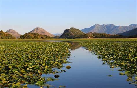 lago di skadar
