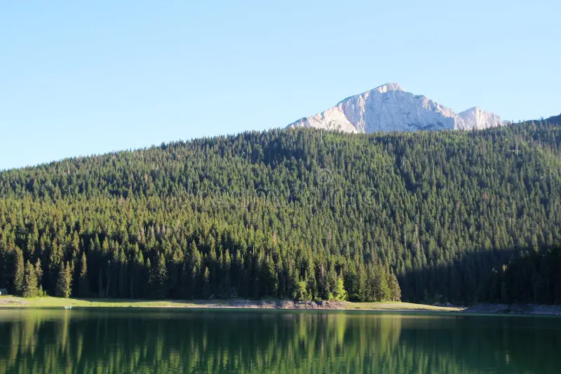 lago nero nel parco nazionale di durmitor montenegro 113089118