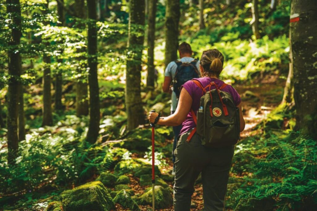 10 Esperienza autunnale credit Alta Valtaro PR 9 1080x720