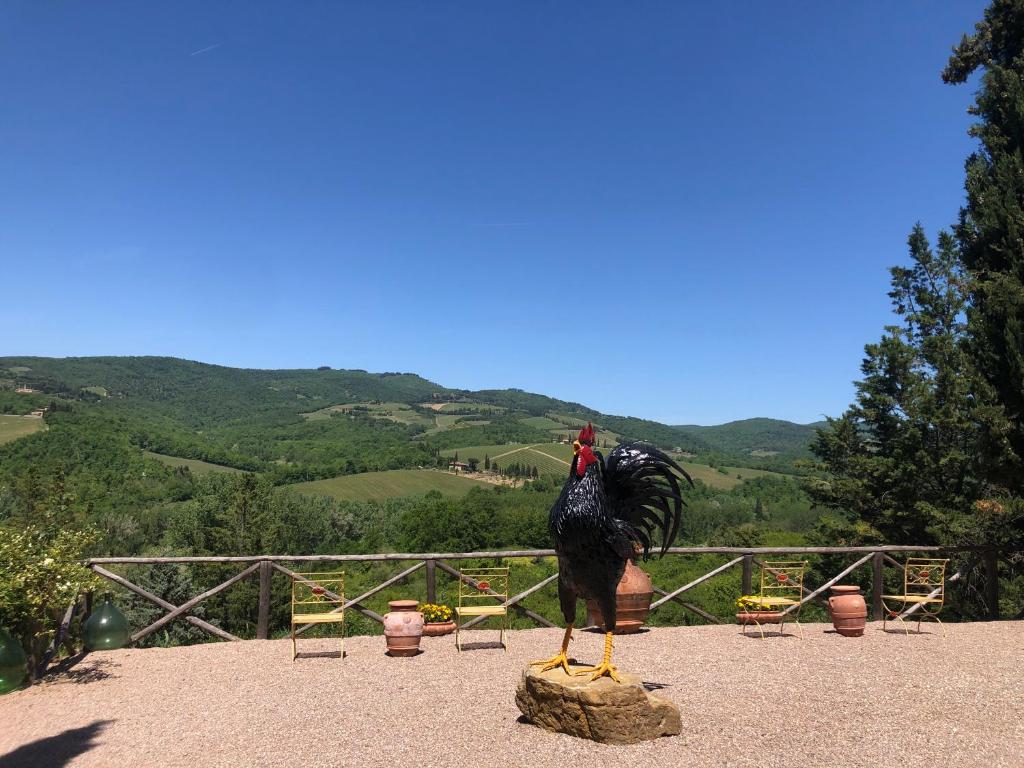 tenuta la Boragina 1