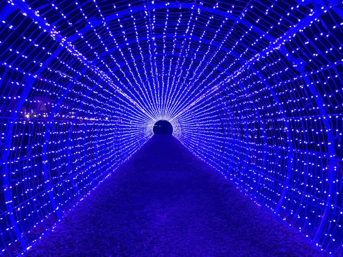 natale a vervey svizzera