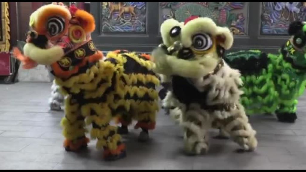 danza del leone capodanno cinese roma