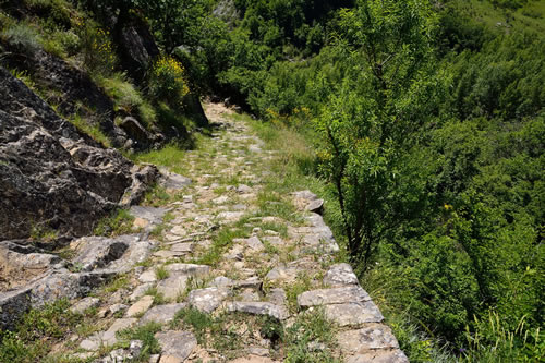 Cammini Lenti in Basilicata: I Migliori Percorsi di Un Giorno percorso7pietre dolomiti lucane s03