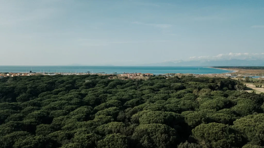 duesudue foto il pineto 1 scaled