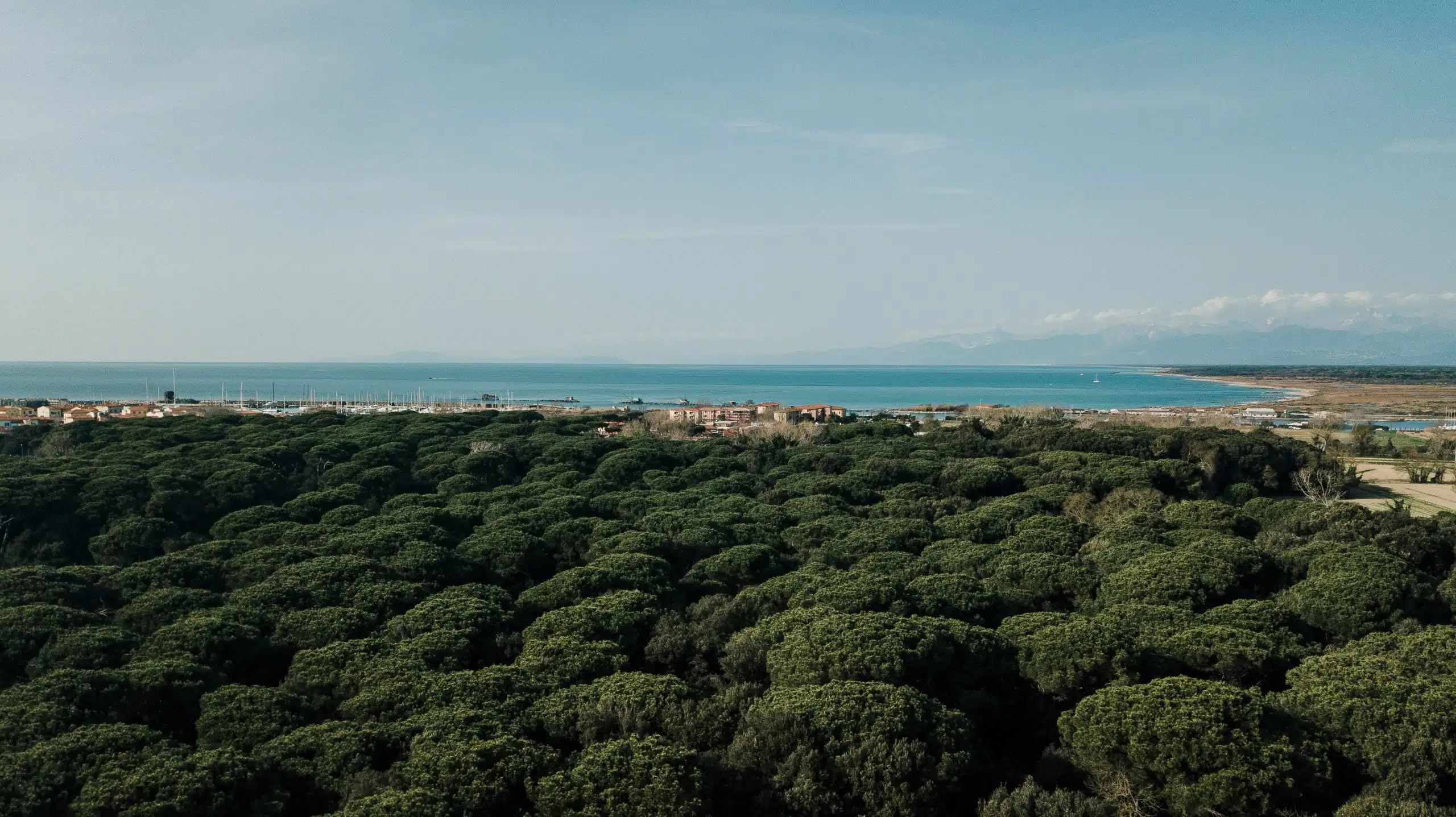 duesudue foto il pineto 1 scaled