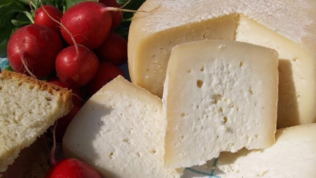 pecorino di maglie