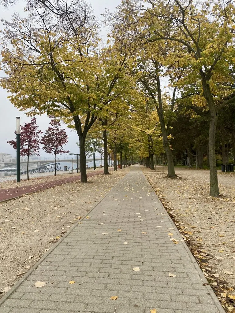 Budapest, Ungheria: La Guida di Viaggio Definitiva Isola Margherita 2