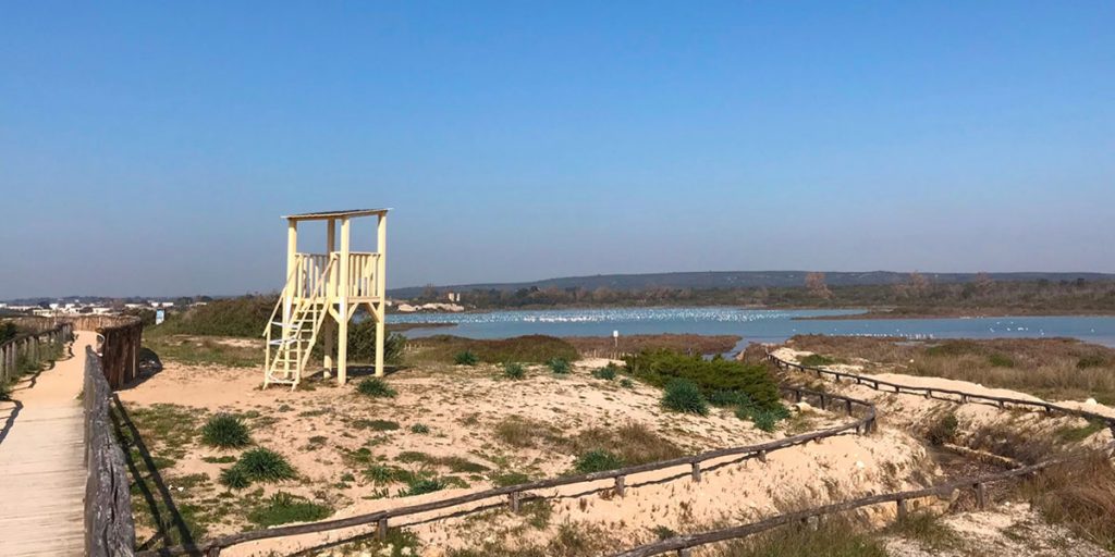 Salina dei Monaci Torre Colimena