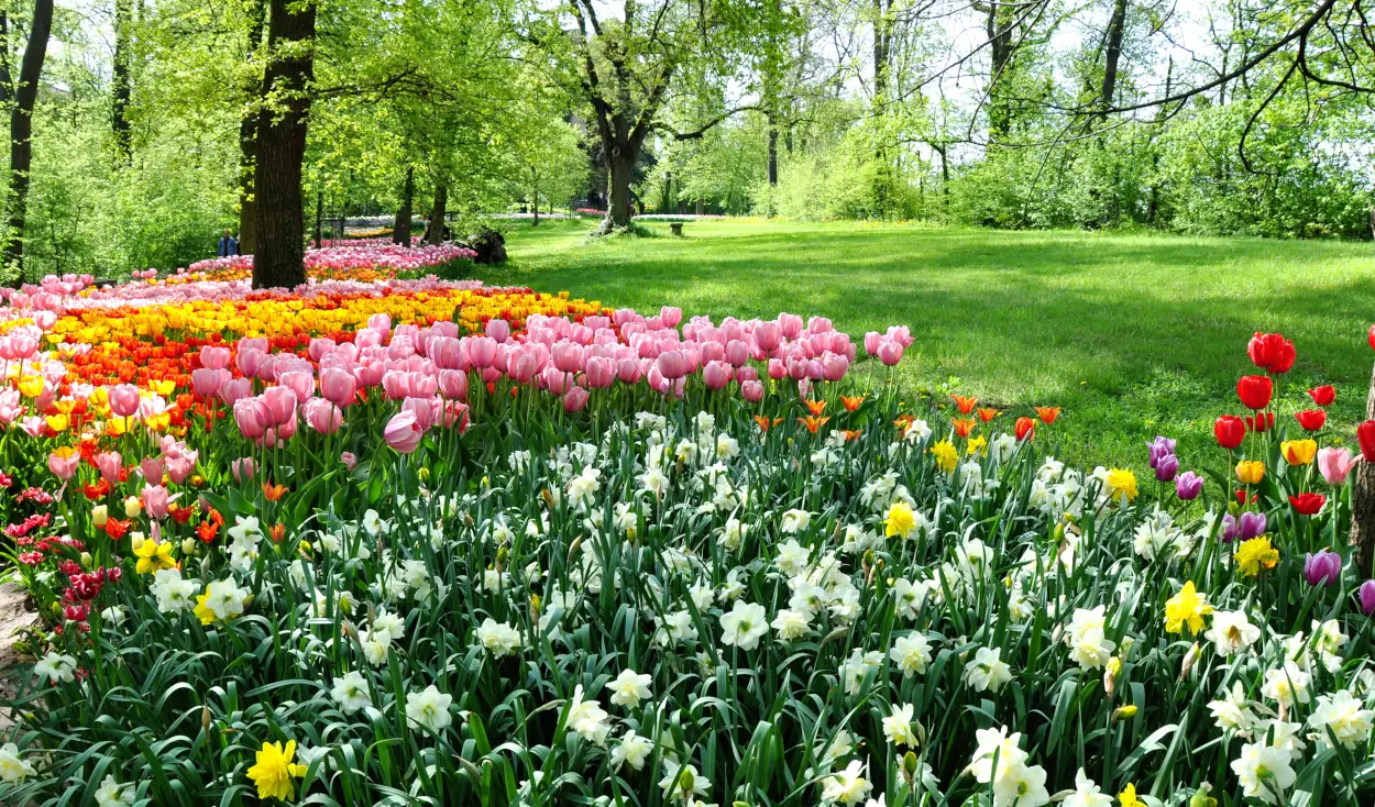 giordini in fiore in Italia