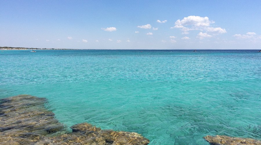 Le 15 spiagge più belle della Puglia da visitare nel 2025 vista nei pressi di riva
